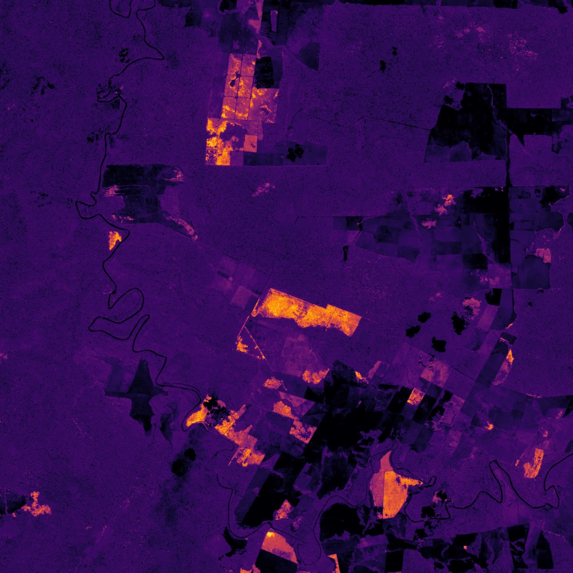 A satellite view of Rondônia rendered in deep violet with bright orange and yellow patches, a river winding through as a thin black line, and the field pattern of pasture blocks visible throughout